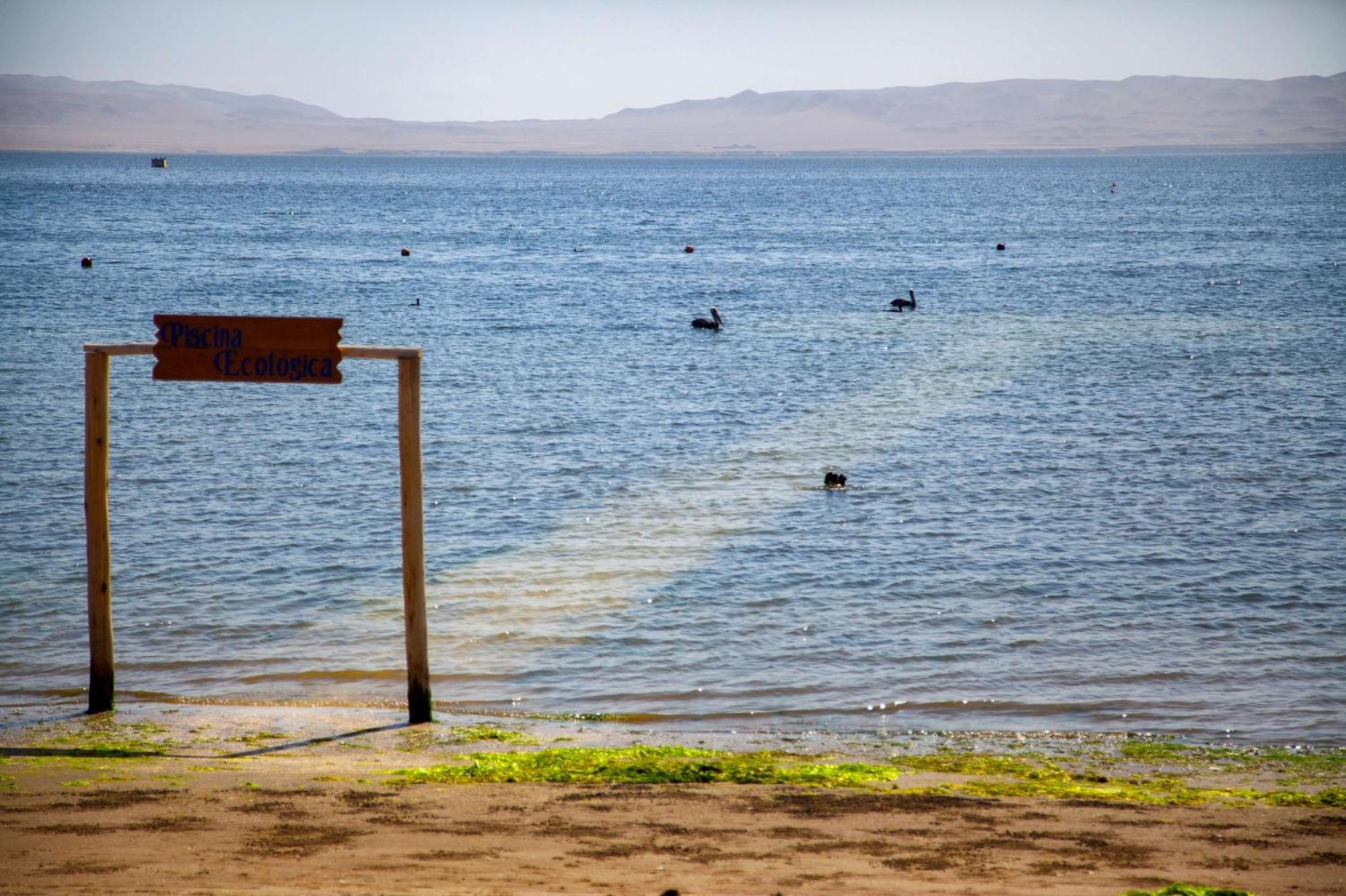 The Legend Paracas Resort, A Destination By Hyatt Hotel מראה חיצוני תמונה View of the lake